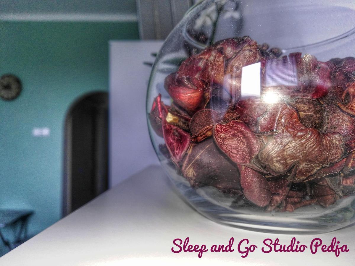 Apartamento Sleep And Go Pedja Belgrado Exterior foto